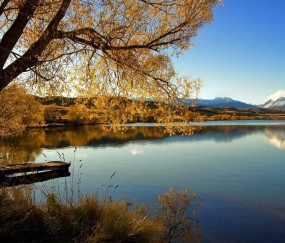 怀孕初期能坐浴（怀孕初期坐浴高锰酸钾）