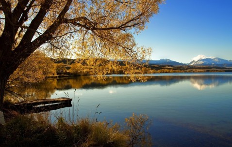 东莞哪家医院做试管婴儿成功率高（东莞哪个医院做试管婴儿成功率高一点便宜一点的）
