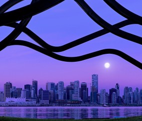 怀孕初期左腿根部一抽一抽（怀孕初期左腿根部疼）