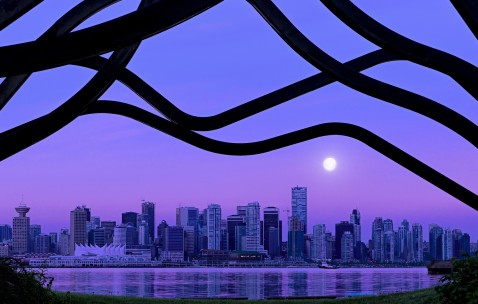 小孩发烧在家没药怎么办（孩子在家发烧了没药怎么办）