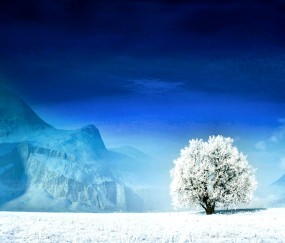 怀孕初期睡不好觉总是醒（怀孕初期睡不好觉总是醒咋回事）