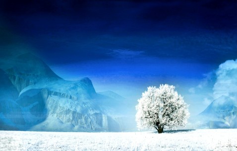 小孩发烧冷的时候可以吃布洛芬（小孩发烧冷可以盖被子吗）