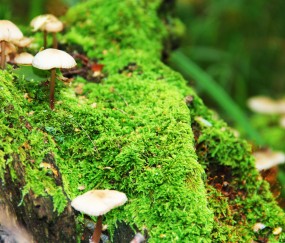 小孩发烧后反应变得迟钝（小孩发烧后反应变得迟钝正常吗）