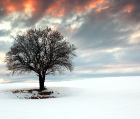 福州私立供卵试管公司名单，选择三代试管供卵需要多少钱！（福州试管哪家好）