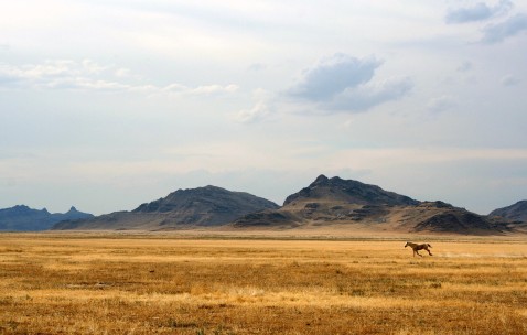 小孩感冒咳嗽出汗怎么办（小孩感冒咳嗽出冷汗怎么回事）