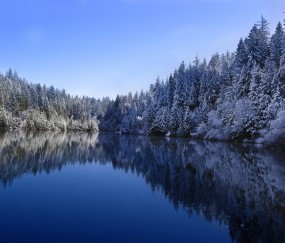 怀孕初期身体好烫（怀孕初期身体发烫对宝宝有没有影响）
