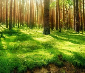 小孩发烧手脚痒是怎么回事啊（小孩发烧手脚肿胀很痒怎么办）