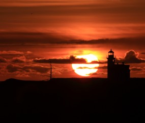 怀孕初期还可以跳舞吗（怀孕初期还可以跳舞吗）