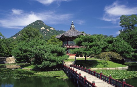 儿童斜颈最好的医院（斜颈手术费用一般几万）