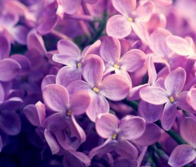 小孩发烧能吃牛奶牛油果（宝宝发烧能吃牛油果吗?）