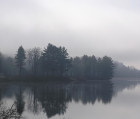 小孩手脚凉发抖不发烧（小孩子手脚发冷,全身发抖,又没发烧,是怎么回事?）