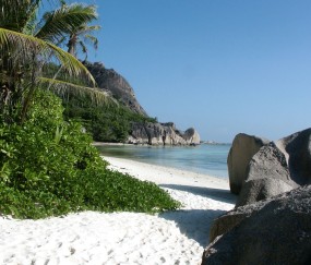 小孩头痛发烧咳嗽吐黄谈（儿童咳嗽发烧吐）