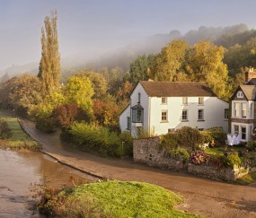 怀孕初期可以吃生水萝卜吗（孕早期能吃生萝卜吗?）