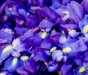 怀孕初期被剧烈抖动（怀孕初期剧烈抖动对胎儿有没有影响）