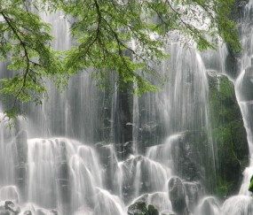 怀孕初期能上什么药物流产（怀孕初期有什么药物可以流掉）