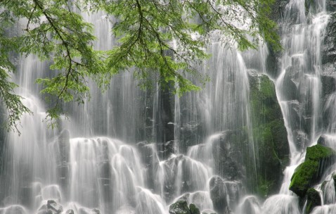 初期怀孕妇女吃啥水果好（怀孕初期孕妇吃什么水果最好）