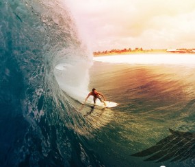 试管婴儿配对是什么意思