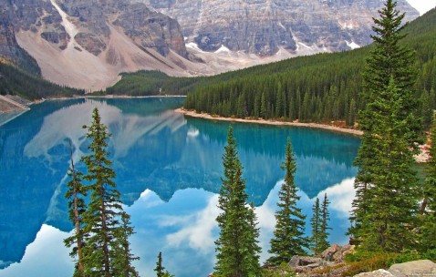 白细胞低吃啥食物好