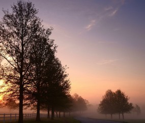 咳嗽小孩打针可以吃牛奶吗（咳嗽打针后可以喝酒吗）