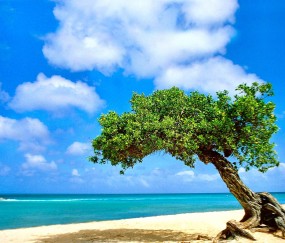 怀孕初期腰痛不（怀孕初期腰部不适）