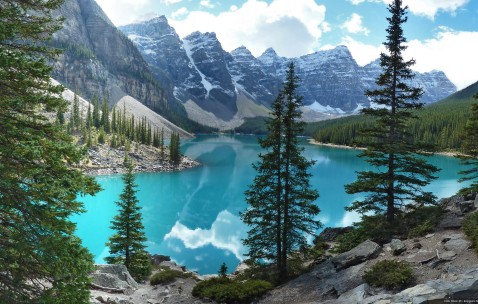 小孩咳嗽反复发烧三天了怎么办（小孩咳嗽发烧3天了烧还不退怎么办）