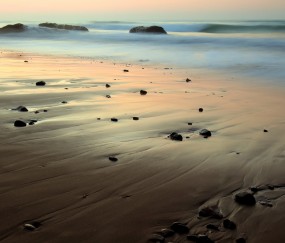 怀孕初期油菜能不能吃（油菜怀孕初期能吃吗）