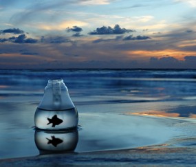 小孩只发烧无其症状（小孩只发烧没有其它症状）