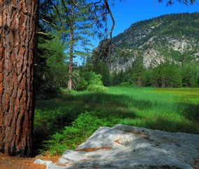 香蕉小孩发烧可以吃吗（小孩发烧吃香蕉有用吗）