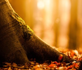 怀孕初期有腹痛是什么原因（怀孕初期有腹痛症状）