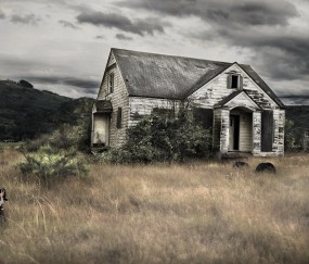 怀孕初期吃过就上厕所（怀孕初期吃了就想拉屎）