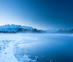 试管婴儿冻胚和鲜胚哪个好