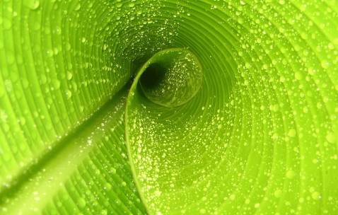 小孩一老发烧怎么回事（小孩老发烧咋回事）