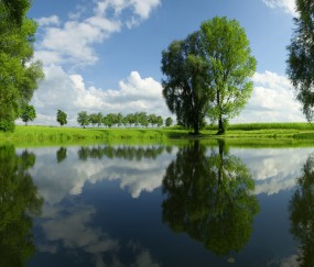 小孩发烧眉头凉身上汤（小孩发烧头热身上凉）