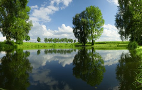 怀孕初期肚子疼老想拉屎的感觉（怀孕初期肚子总是疼想拉屎的感觉）