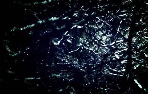 怀孕初期平躺睡觉腹部发硬（孕早期平躺腹部凸起硬硬的）