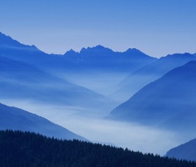 怀孕初期可以吃黄鹂糕吗（怀孕初期可以吃黄芩胶囊吗）