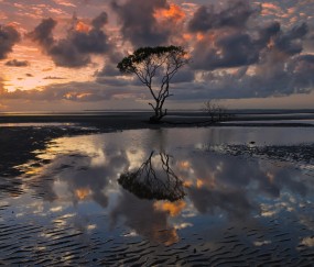 怀孕初期为什么会有炎症（怀孕早期有炎症怎么办）