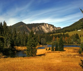 山西省妇幼试管成功率（山西省妇幼做试管成功率）