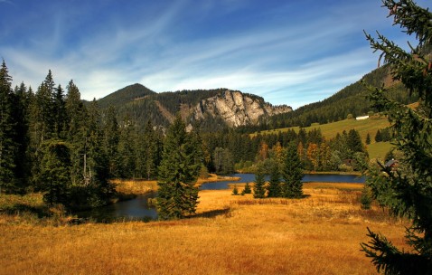 40岁以后还可以生二胎吗（40岁还能不能生二胎）