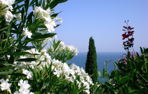 怀孕初期小腹会胀痛么（怀孕初期小肚会胀痛吗）