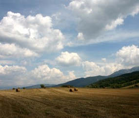 小孩不发烧不咳嗽是不是肺炎（小孩不发烧不咳嗽肺炎怎么办）