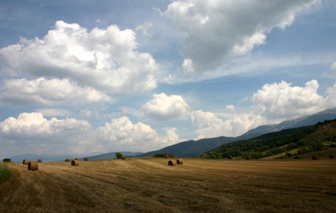 初期怀孕孕酮多少算正常值（怀孕初期孕酮值一般多少）