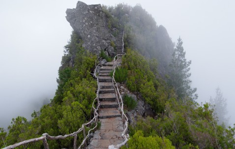 三岁半小孩呕吐发烧一般是什么病（三岁小孩呕吐发烧是什么原因引起的）