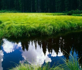 小孩住新装修房子一周发烧（孩子在新装修房里高烧不退）