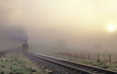 精子做试管成功率（试管精液）