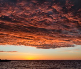 怀孕初期梦到白老鼠跑掉（孕妇梦见一只白老鼠跑了）